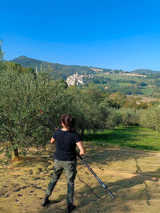 Degli Alessandri house Sassoferrato Esterno foto